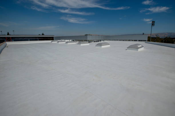 Best Gutter Installation and Repair  in Madison Lake, MN