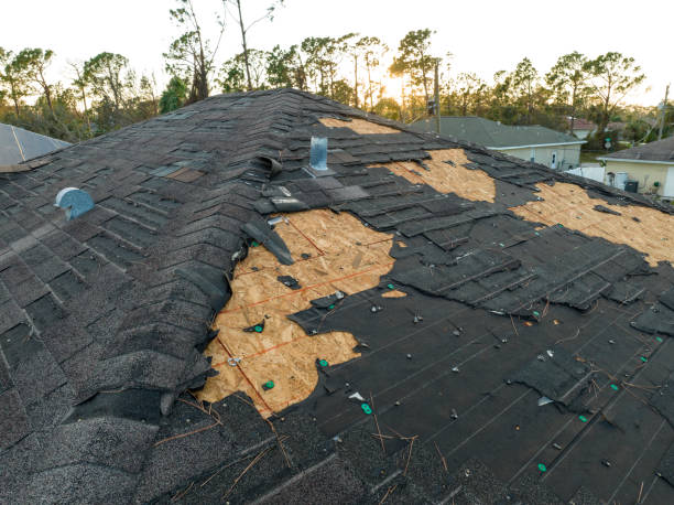 Best Gutter Installation and Repair  in Madison Lake, MN